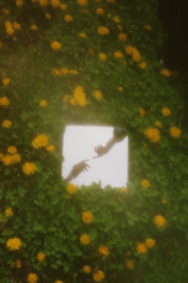 fate