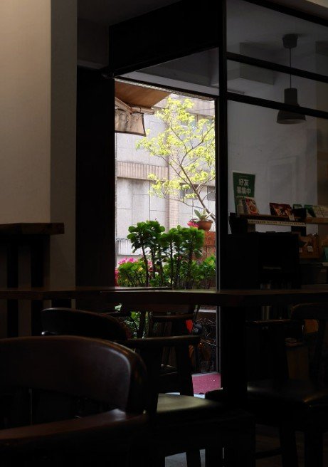Open cafe window with a tree and green plants outside, quiet corner for reading poems about missing someone